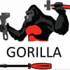 gorilla-openfunctions-v2